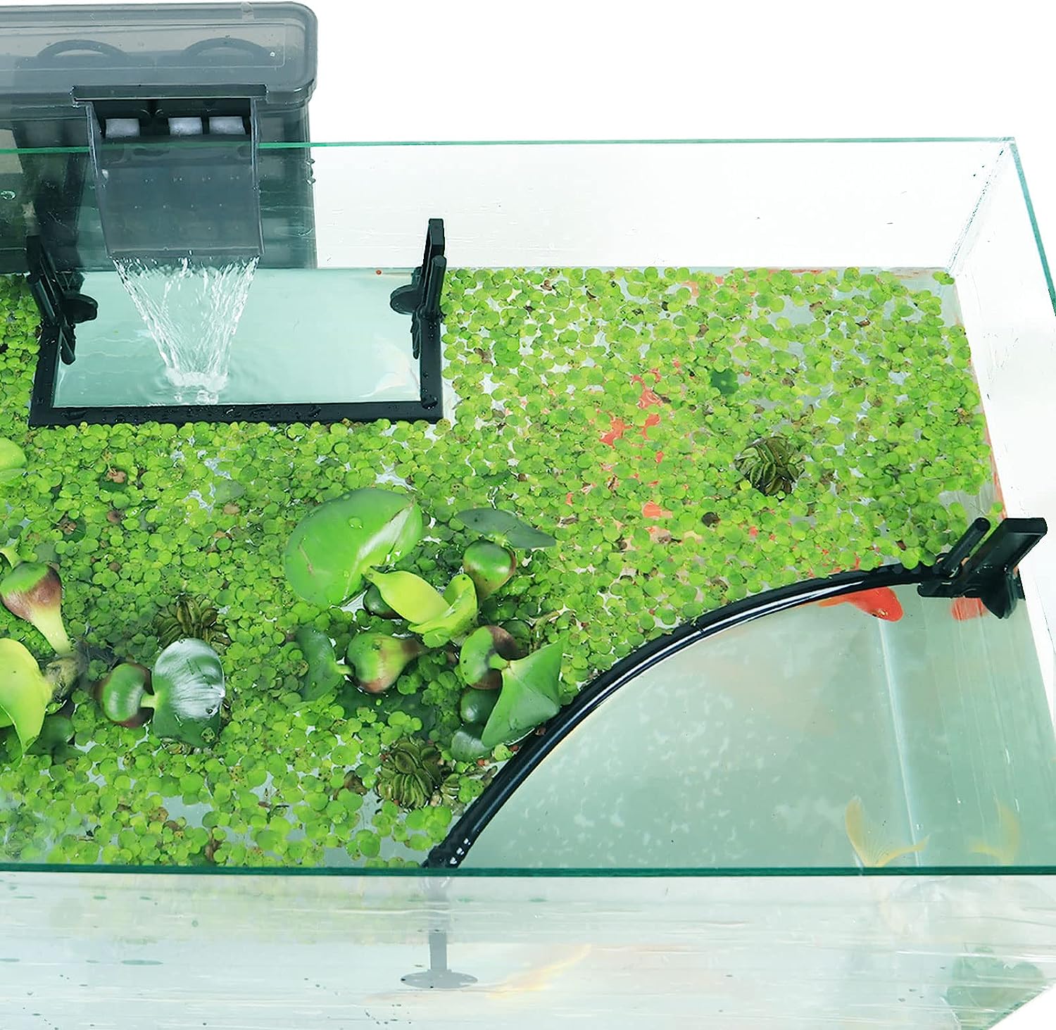 Aquarium Floating Plant Corral - Planted Aquarium Heater recension och pris