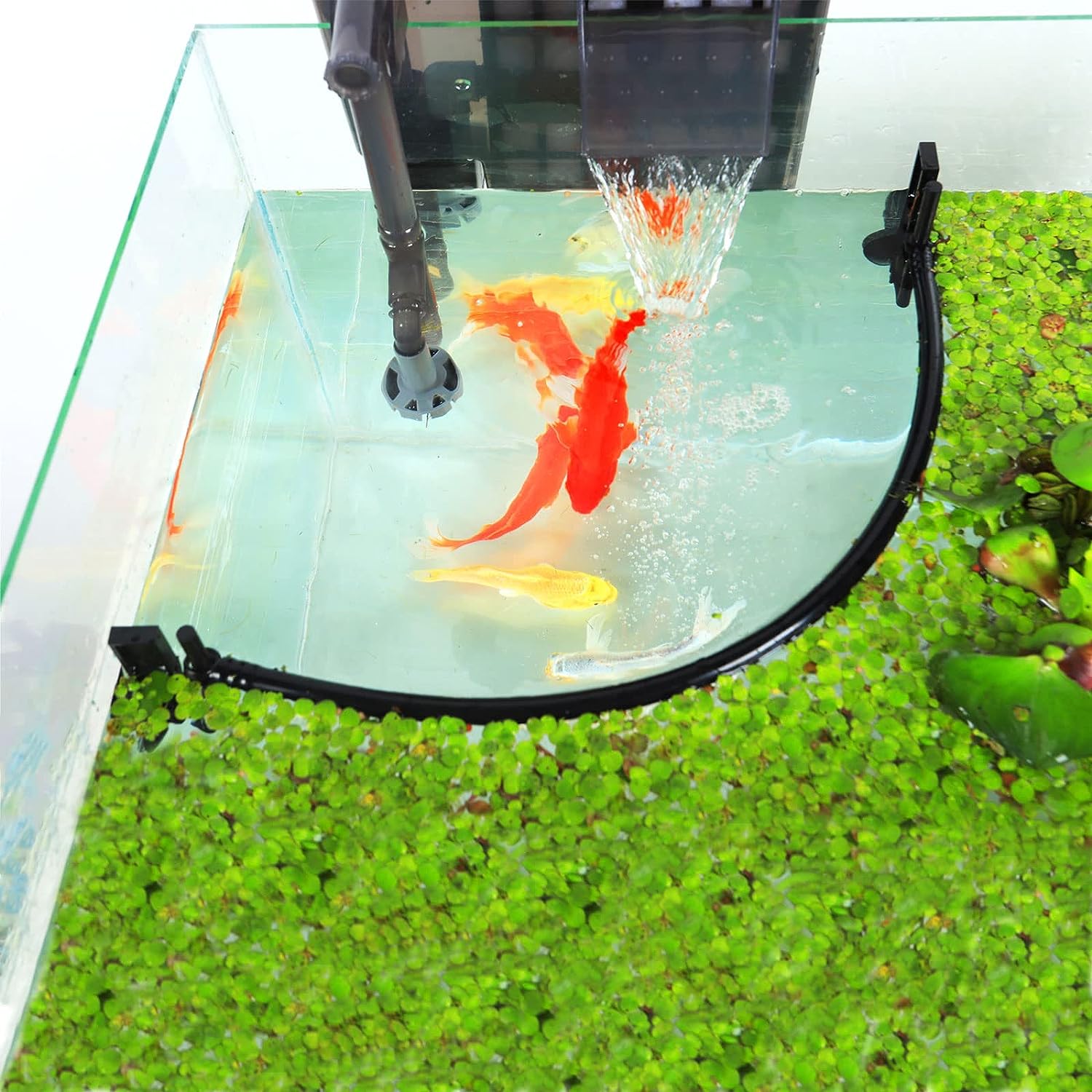 Aquarium Floating Plant Corral - Planted Aquarium Heater recension och pris