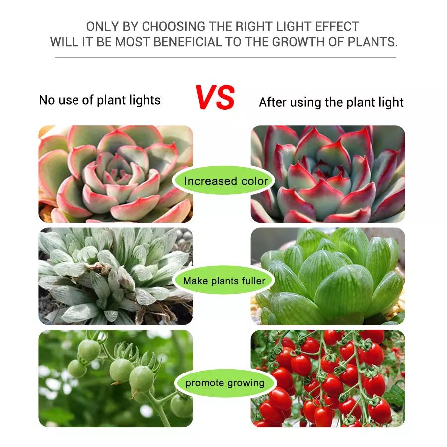 LED5V Light Bar Flower Aquariu - Planted Aquarium Hours recension och pris