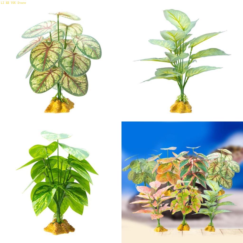 W3JE Terrarium Decorative Plan - Planted Aquarium Jungle recension och pris