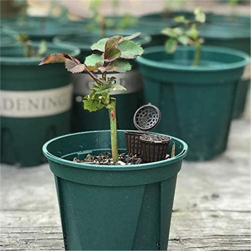 ABUH-Garden Nursery Fertilizer - Aquarium Plant Fertilizer recension och pris