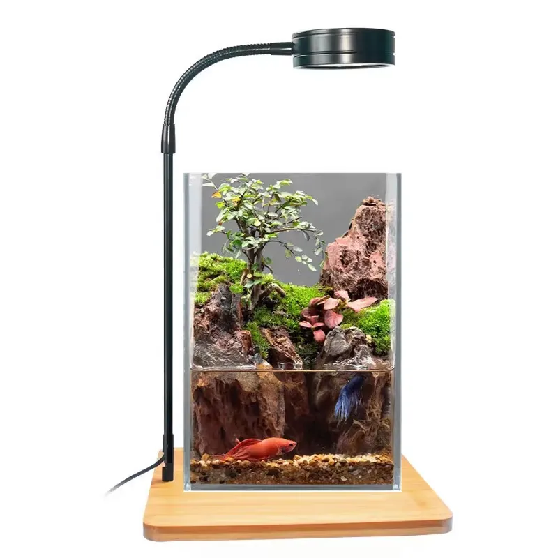 Desktop Decoration Timing Fish - Planted Aquarium Hours recension och pris