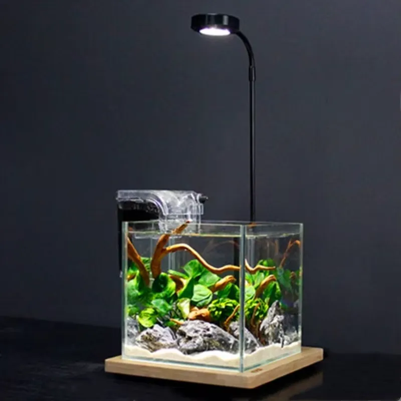 Desktop Decoration Timing Fish - Planted Aquarium Hours recension och pris