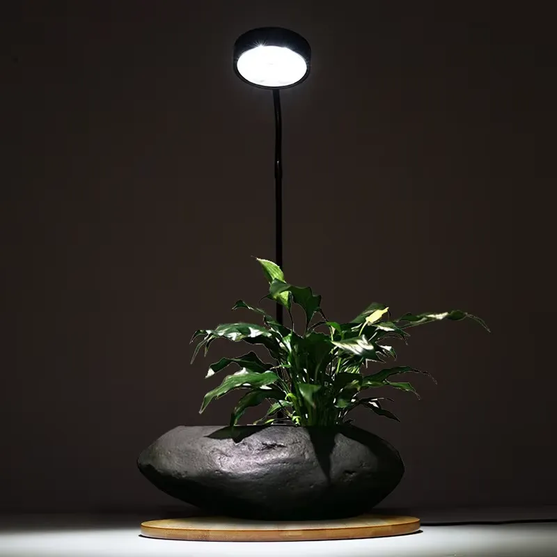 Desktop Decoration Timing Fish - Planted Aquarium Hours recension och pris