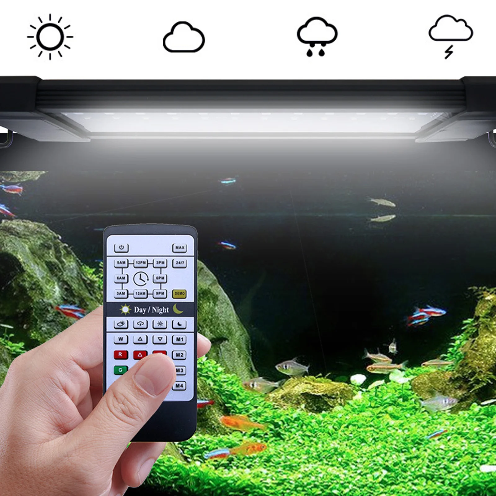 Liweida 24 Hours Natural Light - Planted Aquarium Hours recension och pris